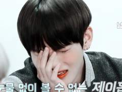 눈만 맞으면 싸우는 이유