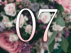 [크롤아지] Fly Me To The Moon 007