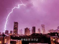 [현제유진] 조각글 1