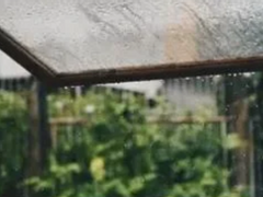 [완결] 시절 추천 W. 낙하