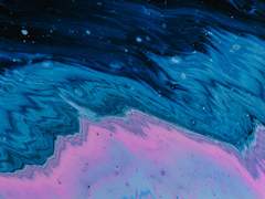 살아있는 것들은 모두 죽는다.