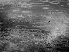 [청아라] Whispering Eyes