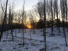 [송성/수인] 시린 짐승의 계절