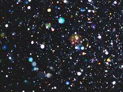 [협연] Bye Bunny baby, burn your lullaby