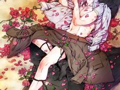 장미, 어젯밤, 바닷가