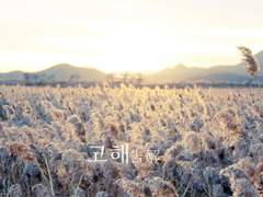 [안화여휘] 고해(告解) 下