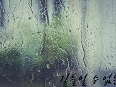 길들일 수 없는 것