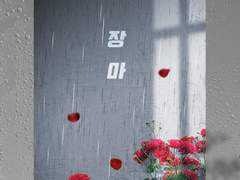 〔 장마 . 뷔진 〕