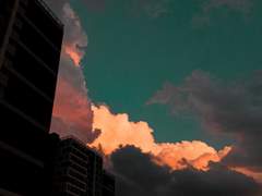 夢中相尋 ; 몽중상심 00