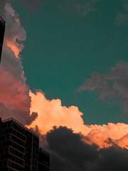 夢中相尋 ; 몽중상심