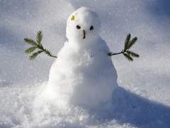 SNOWMAN 上