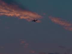 견우직녀달, 너와 함께 보내는 날