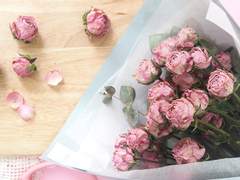 나난님 커미션 신청서