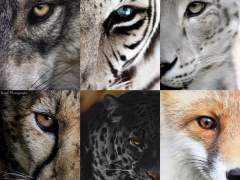 [𝐒𝐞𝐱 𝐏𝐢𝐬𝐭𝐨𝐥𝐬]