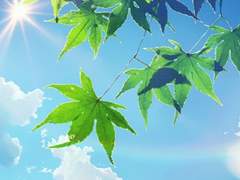 첫사랑의 데시벨 05.