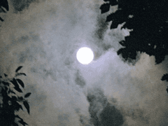 [선 유/흑룡/32살]