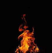 MARVEL 장편 [천년여우 구미호]