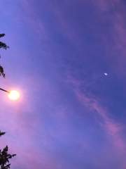 위험천만한 결혼식