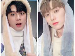 [옹년] 아밀라아제 세레나데 (중)