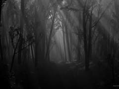 부르지 않으려 기억하는 이름