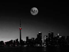 [중혁독자] PANDEMIC 05