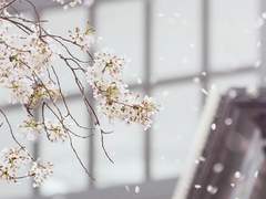 어느 오월의 회고