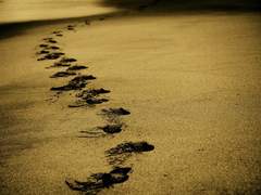 [오메가버스/GL/후타] 폭염주의보 1