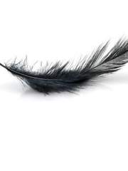 전독시×내스급 판소크오 독자른