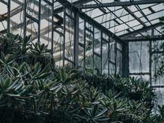 꽃무리 요양병원 엔딩 후 AU 이벤트