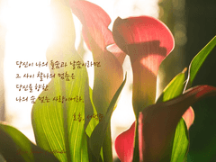 [룬섭] Love Someone