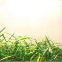 이릉산 풀한포기