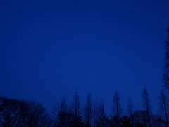 [리환양하] 파랑