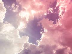 뱀즈미안즈 신간 [天海鏡] 샘플