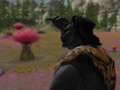 [어느 화가의 행방]