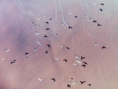 드리워진 그림자 끝