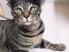 형님이라 불러다오