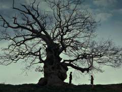 [스네른]Half Snow White