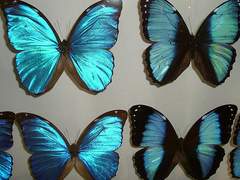 우리 사랑만 하다 죽어요