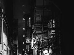 주필황필 캠퍼스물