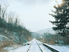 불행의 반대말-1