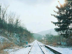 불행의 반대말-14