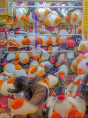 이상한 콤비 - 프로젝트 영