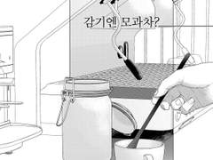 [민셩] 감기엔 모과차?