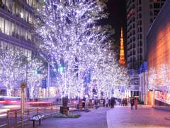 [사쿠니노] The Strange Case of Mr. S