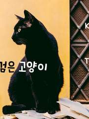 나의 검은 고양이