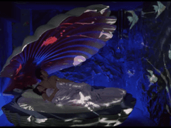 조제, 호랑이, 그리고 물고기들