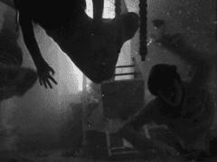 멸망된 희망에 다시 불을 붙이는 날