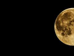 [희신강징] 背明投暗