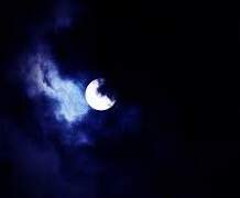 뜰빛탐정 - 과거