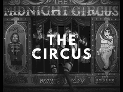 The Circus